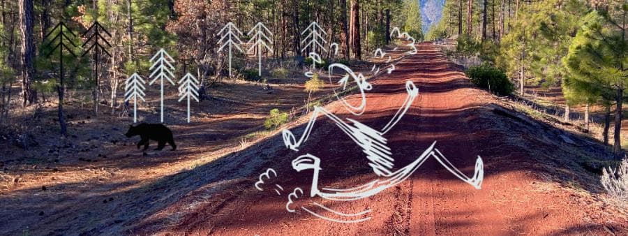 Great Shasta Rail Trail