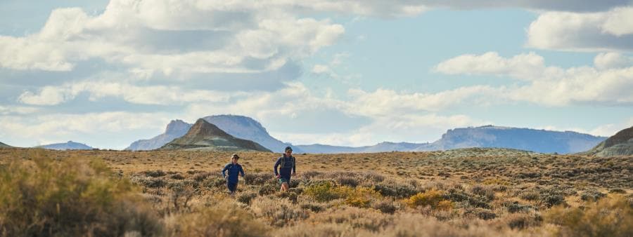 Run the Red Desert