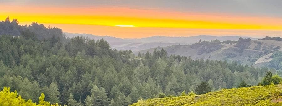 Skyline Ridge Trail Run
